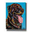 "Labs" par Carolee Vitaletti-930077163