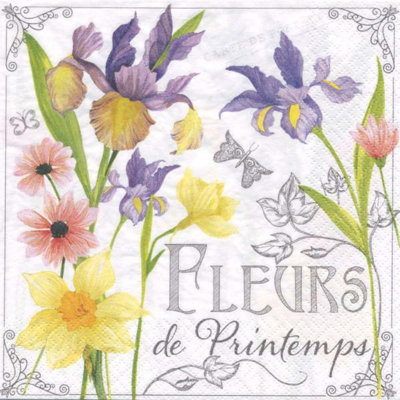 Paquet de 20 serviettes de table à imprimé fleurs Du Printemps