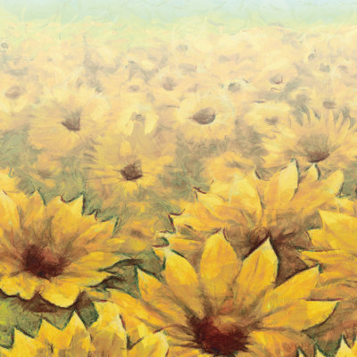 Sunflower - Wrapped Canvas Painting