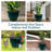 Berlina Round Imperial Ceramic Outdoor Planter-2034820463-2096375821