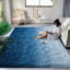Tapis à poils longs dégradés-1275939528-1276121182