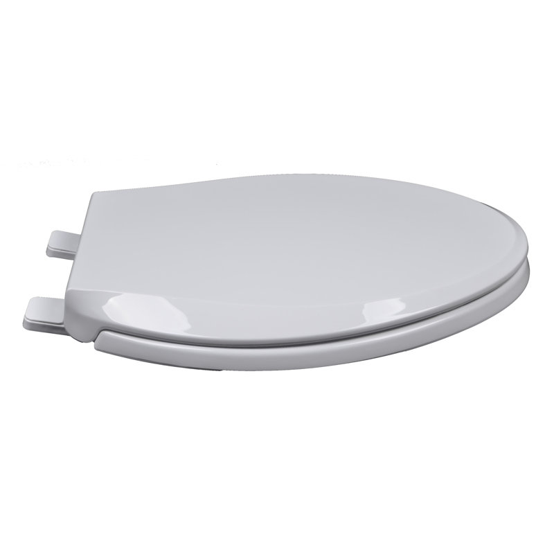 Elongated Toilet Seat and Lid