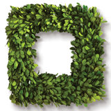 Preserved Boxwood Wreath