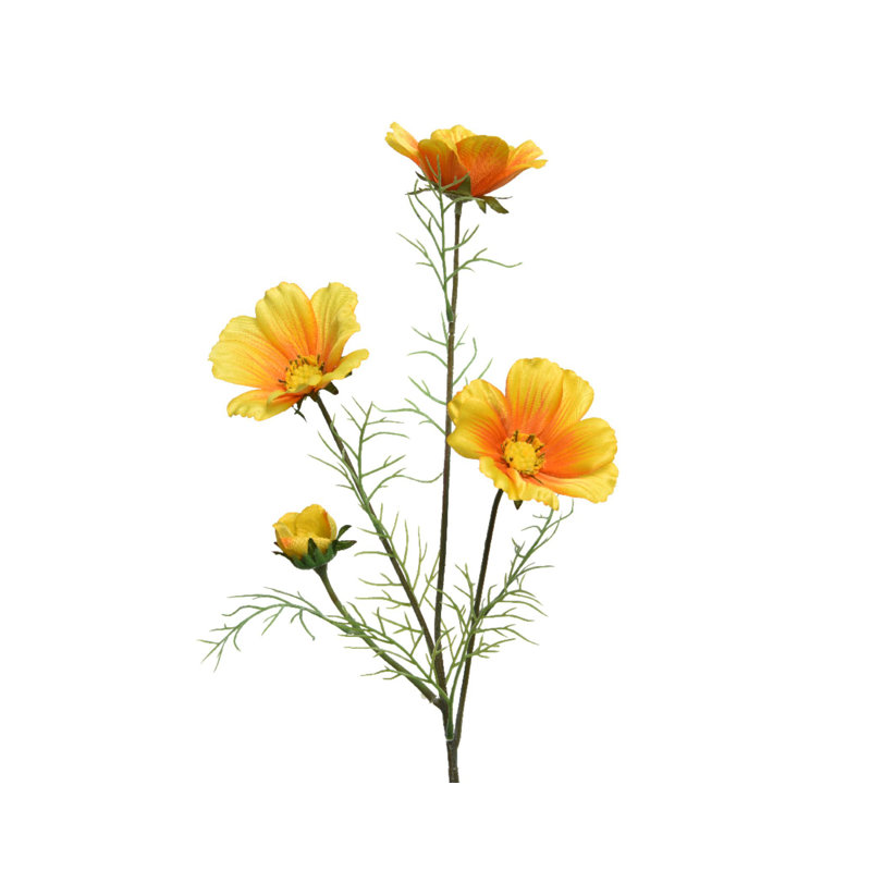 Arrangement