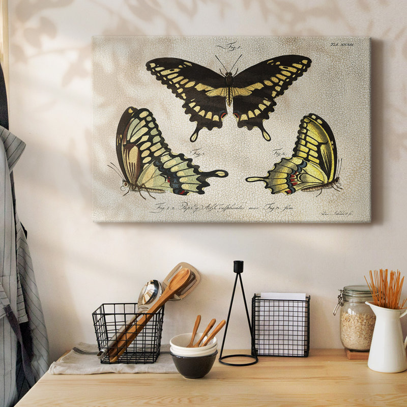 Toile tendue avec craquelures I-Gallery, H 12 po x l 18 po