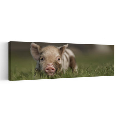 Cute Baby Piglet Abstract Contemporary Landscape Nature Wall Art