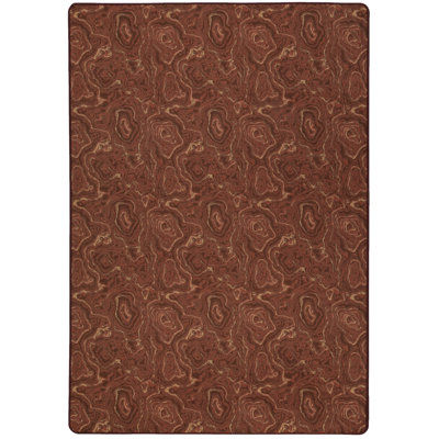 Imagine Lasting Beauty Red Ochre Area Rug