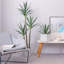 Arbre artificiel, plante artificielle en agave de 6 pi avec 3 troncs, plante artificielle haute en pot avec des feuilles et de l'écorce réalistes, arbre artificiel de jardin pour la décoration de bureau à domicile intérieur extérieur