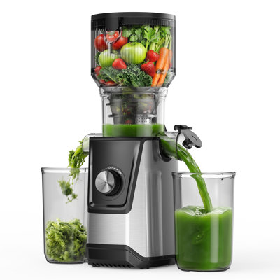 Euhomy 120v Slow Masticating Juicer With 5in Extra-wide Chute For Whole Fruits And Vegetables, Easy To Clean In Silver