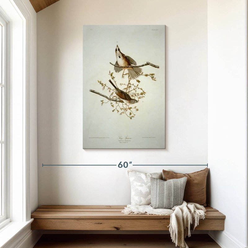 Bruant chanteur des oiseaux d'Amérique, H 45 po x l 30 po