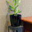 Ensemble de pots à fleurs auto-arrosants Bamboo Blooms - rond 10 po-1227926553