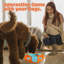 Jouets interactifs pour animaux Pet Pet-117330099