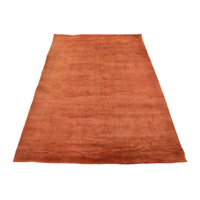 Hand Knotted Wool Indoor Rug
