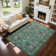 Floral Area Rugs for Living Room Washable Rugs Non Slip Boho Dining Room Carpet Vintage Botanical Print Low Pile Soft Carpet for Office Nursery Farmhouse