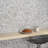 Jurassic Hex 9" Terrazzo Look Porcelain Floor & Wall Tile (8.07 Sq. Ft. / Case)-53420317