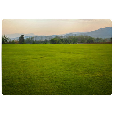 Jalylah Area Rug