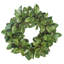 Magnolia Leaf Twig Wreath-1431627916