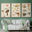 Champignon X-91887167-91887168