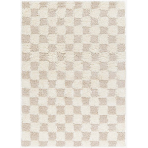 https://assets.wfcdn.com/im/92427437/resize-h300-w300%5Ecompr-r85/3053/305357452/Atiran+Checkered+Shag+Beige+Area+Rug.jpg