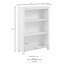Abhijeet 106 cm H x 77 cm W Standard Bookcase-995965091