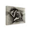 «Nude 05 08 22» par Corne Akkers - reproduction d'art sur toile tendue