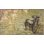 Park Bench Print by Claudette