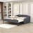 Nollet Full / Double Daybed with Trundle