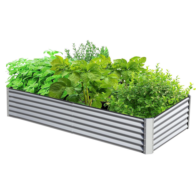 Lit de jardin surélevé galvanisé 6X3X1.5Ft, H 17,72 po x l 70,87 po x P 35,43 po, Argenté / blanc