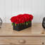 Arrangement floral de roses en pot-22592488