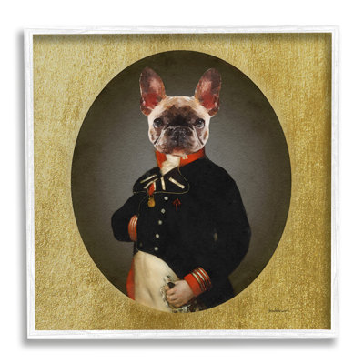 Amanda Greenwood, chien de conquistador militaire militaire