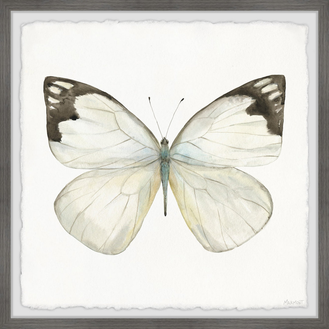 Rainforest Butterfly - Picture Frame Painting