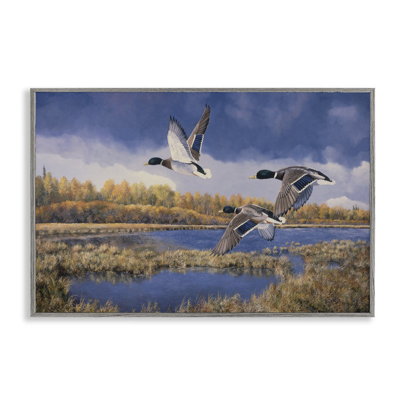 «Ducks Heading South Giclee» par Andrew Kiss, Estampe numérique Farmhouse, H 16 po x l 24 po