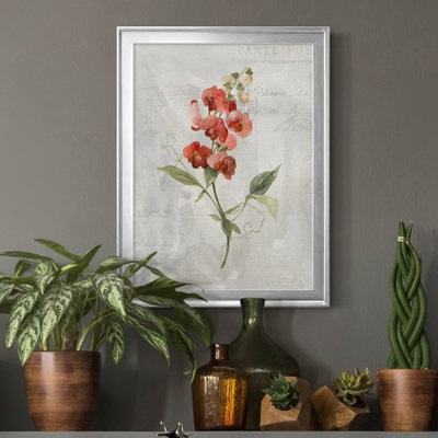 " Linen Sweet Pea " Painting Print