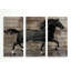 Une image multi-pièces barnwood cheval de qualité supérieure sur toile-2071542600