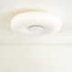 Imani 1 Light Flush Mount