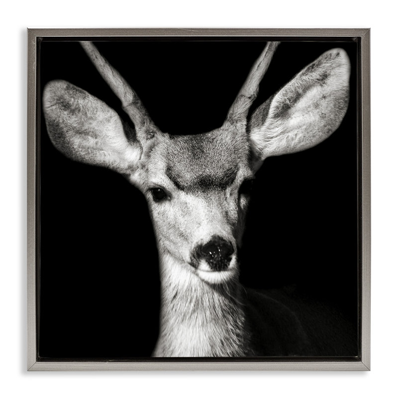«Gazing Deer Portrait» par Kathy Mansfield, Cadre flottant gris lustré, H 18 po x l 18 po