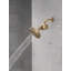 Filtre de douche standard avec filtre Clarifi-103146698