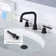 Widespread 2-handle Bathroom Faucet with Drain Assembly