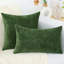 Couvre-oreiller de Noël vert 18 x 18 pouces, ensemble de 2 taies d'oreiller décoratives douces décoratives de couleur unie ferme pour canapé