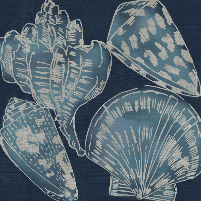Marine Shells II by Chariklia Zarris - Wrapped Canvas Painting, 51cm H x 51cm W