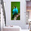 Vert miel sur une branche-1942188602