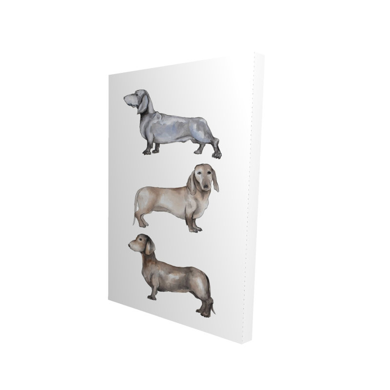 Petit chien teckel - Toile grise pour les amoureux des animaux de compagnie