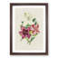 Illustration of Beautiful Flowers - Framed Print-55641706-55641707