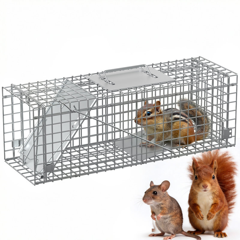 Cage à piège à animaux 24 po 24 po, H 7,9 po x l 23,6 po x P 7,5 po