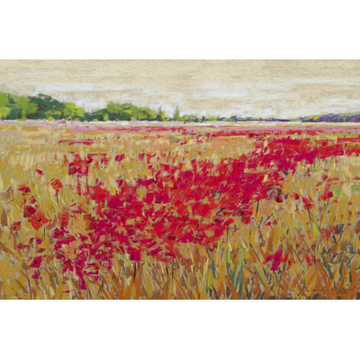 Coquelicots II
