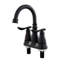 Double Handle Bathroom Sink Faucet with Drainer-63530443