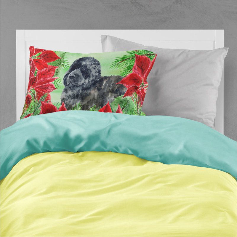 Microfiber, Newfoundland