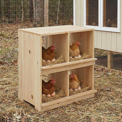 Boîte de nidification en bois pour poulet - double couche, 4 compartiments, conception déroulante, fixée au mur ou au sol, résistante au soleil, bois isolé naturel, avec perchoir, idéale pour les fermes avicoles