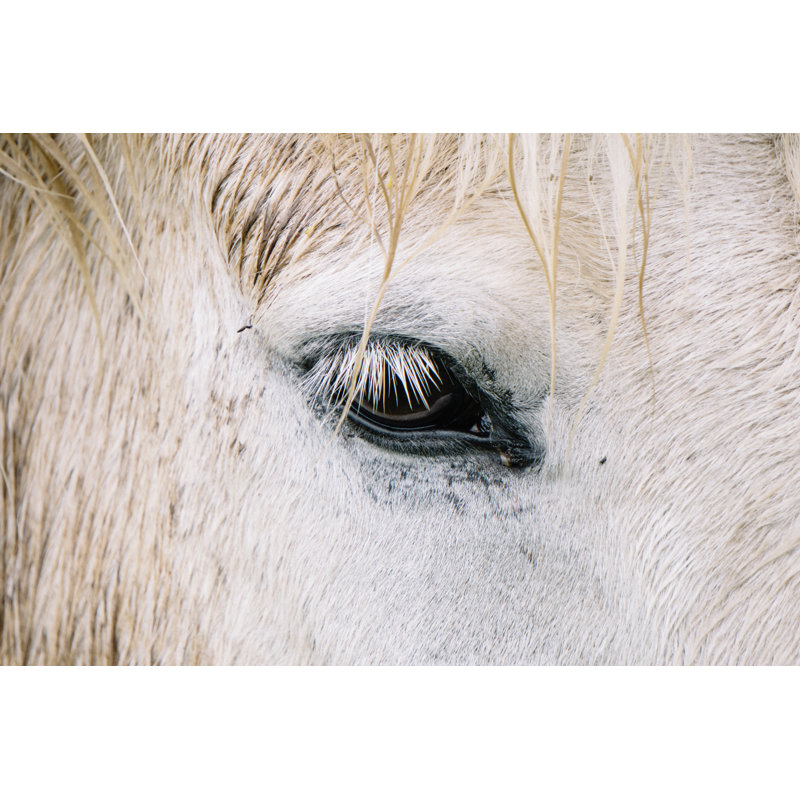 White Horse Black Eye Macro - Wrapped Canvas Art Prints, 30cm H x 46cm W