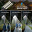 Éclairage solaire solaire extérieur de 8 000 W équivalent, lumière de sécurité crépuscule à l'aube 260000LM avec capteur de mouvement, lampe IP67 imperméable à grand angle pour le stationnement, la cour, la route